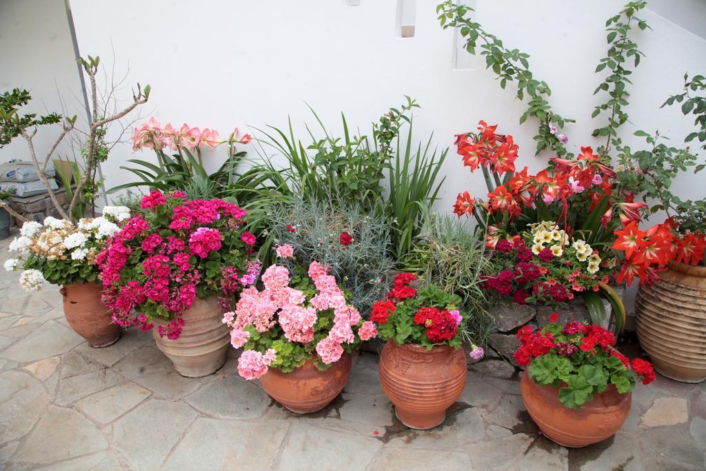 Paralia Guest House Αγία Ρουμέλη Εξωτερικό φωτογραφία
