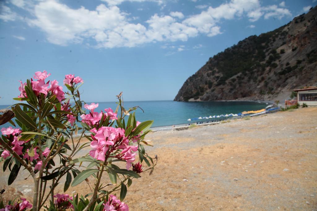Paralia Guest House Αγία Ρουμέλη Εξωτερικό φωτογραφία