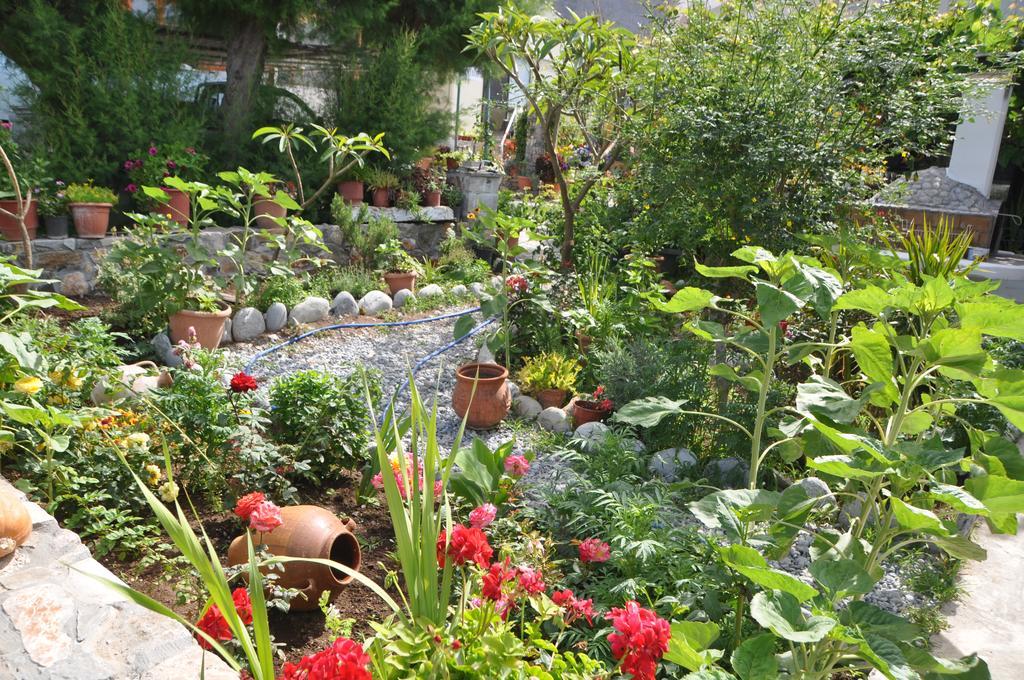 Paralia Guest House Αγία Ρουμέλη Εξωτερικό φωτογραφία